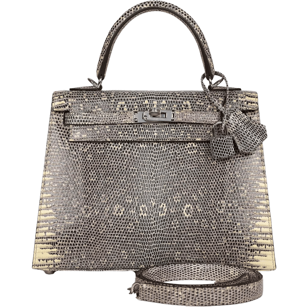 Hermès Kelly Sellier 25 Ombre Varanus Salvator Lizard Palladium Hardware