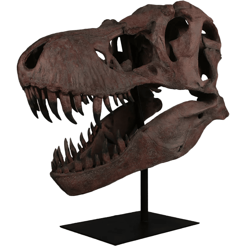 Jumbo T-Rex Skull On Base Life Size Statue