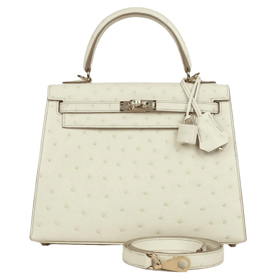 Hermès Special Order (HSS) Kelly Sellier 25 Nata Verso Ostrich Permabrass Hardware
