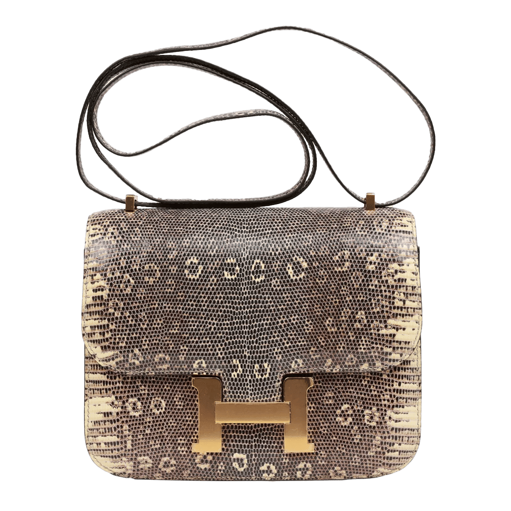 Hermès Mini Constance 18 Ombre Lizard Varanus Salvator Gold Hardware