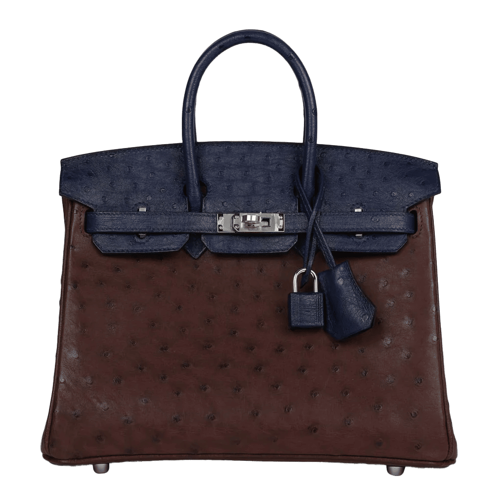Hermès Bi-Color Birkin 25 Rouge Sellier and Bleu Saphir Ostrich Palladium Hardware