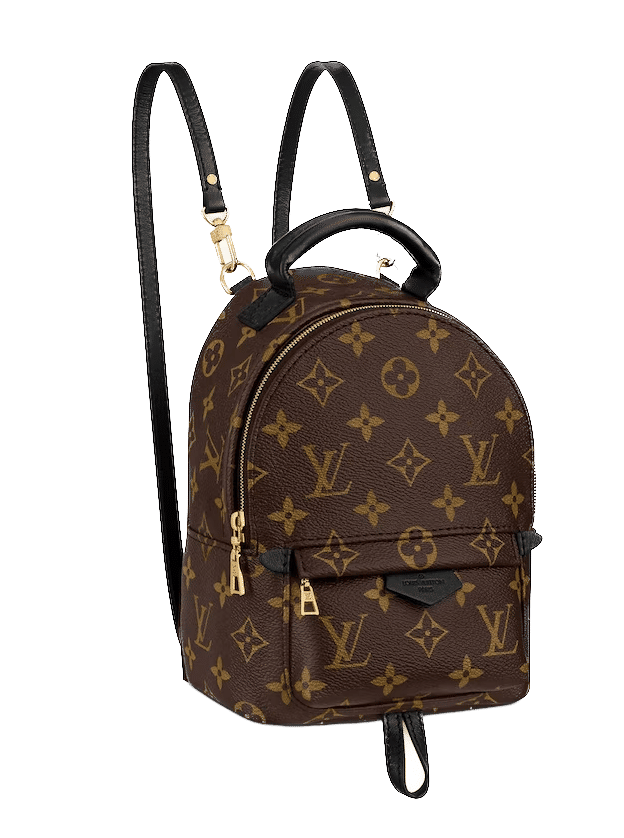 Louis Vuitton Palm Springs Monogram Mini Brown