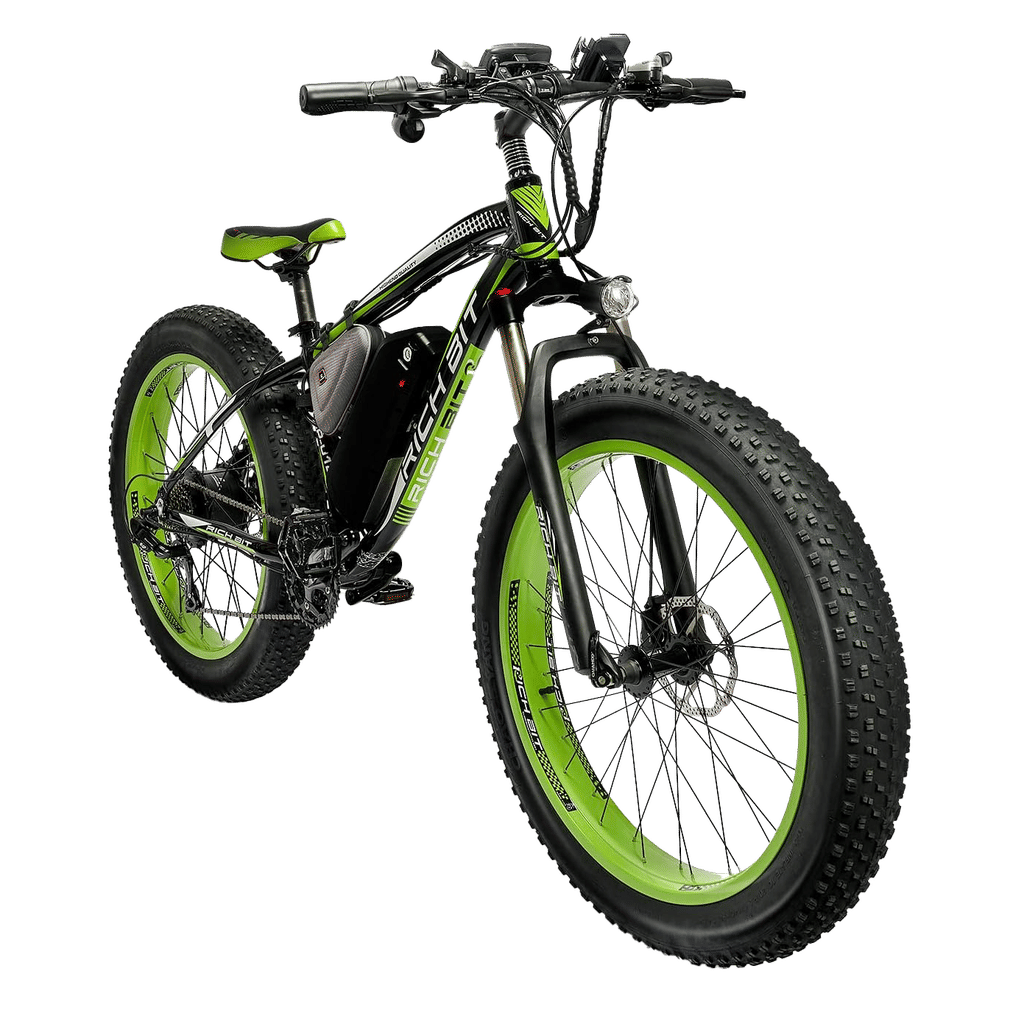 1000W Electric Bike