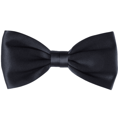 Stefano Ricci Handmade Silk Bow Tie