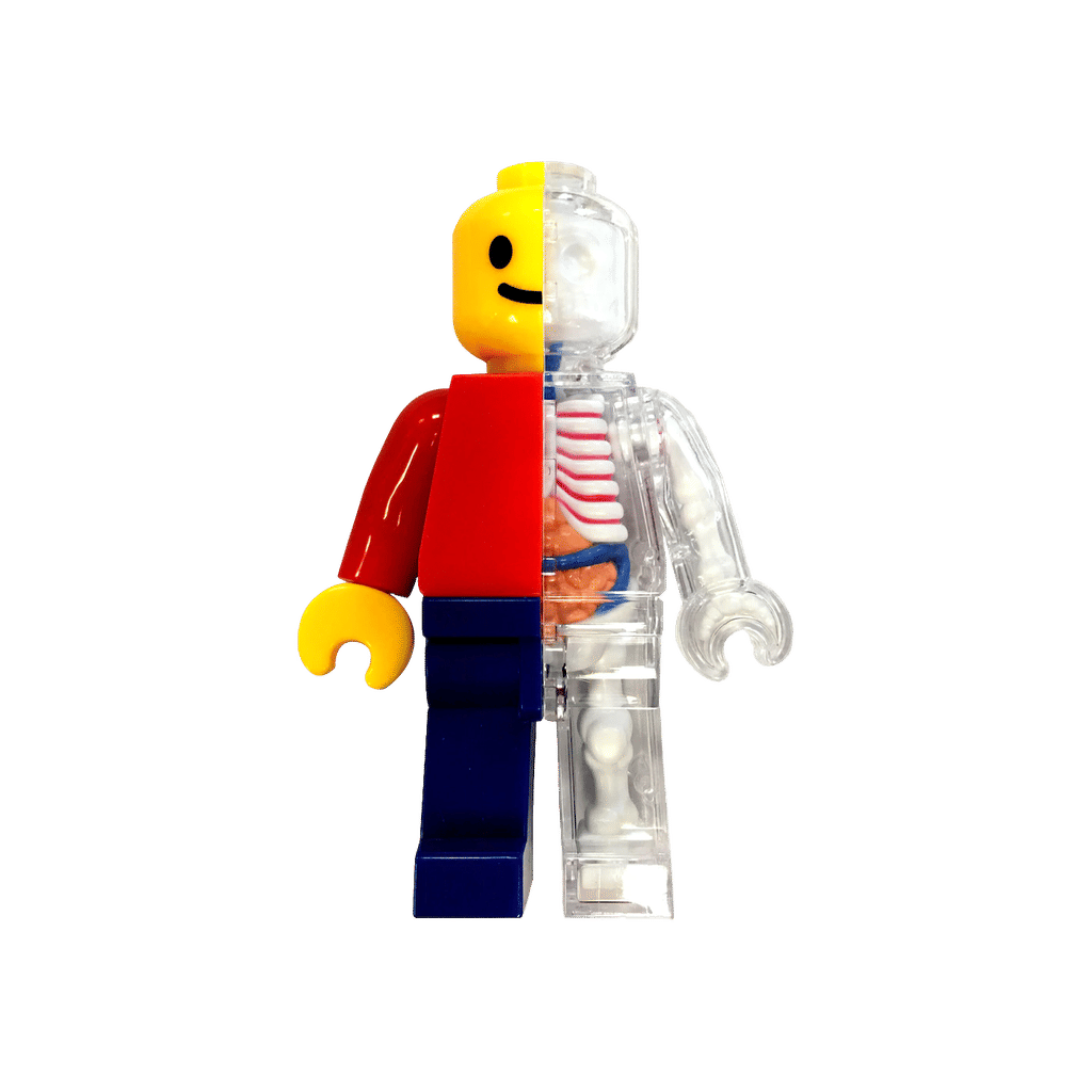 Brick Man Anotomical Small Puzzle