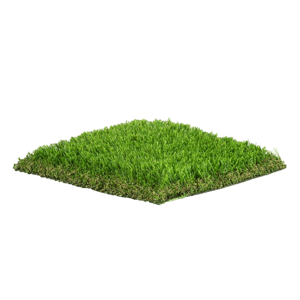 Grass You Can Touch
