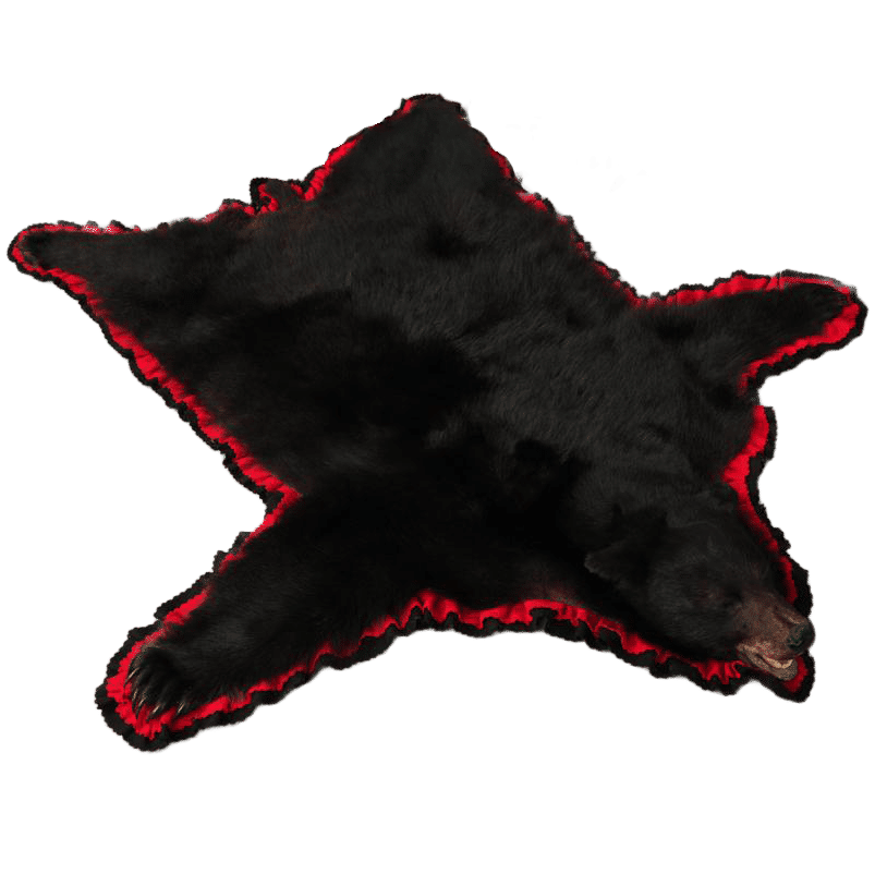 Black Bear Taxidermy Rug