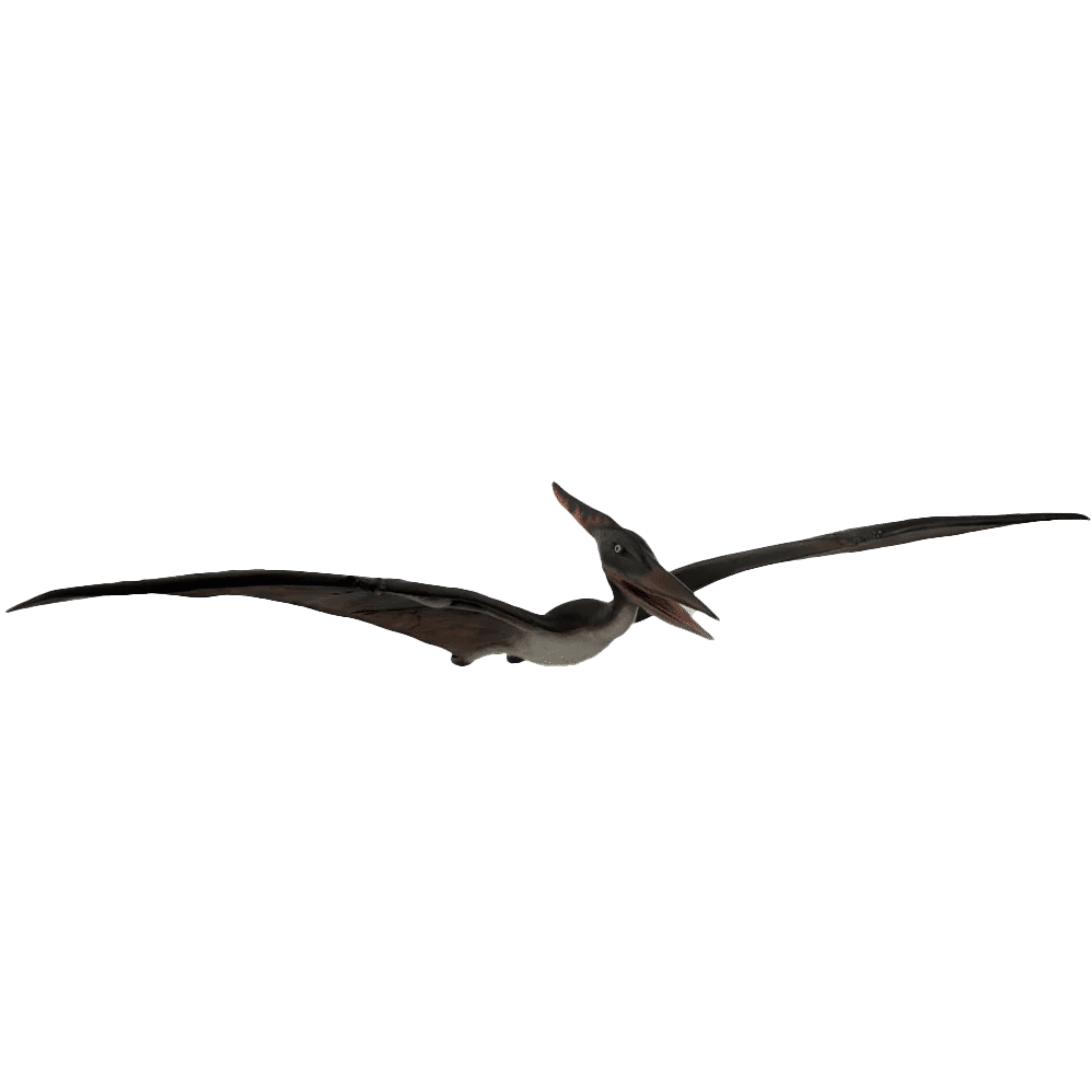 Baby Pteranodon Dinosaur Life Size Statue