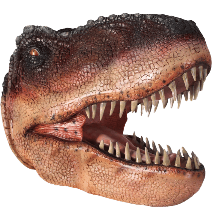T-Rex Dinosaur Head Medium Life Size Statue