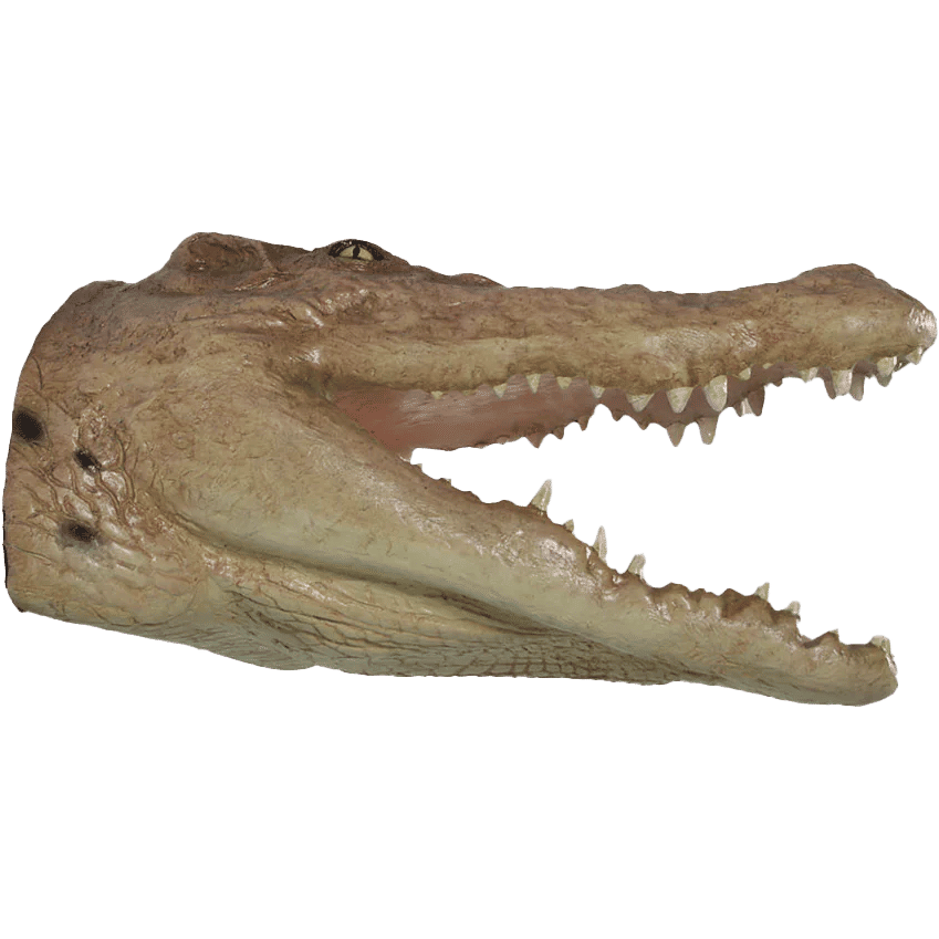 Crocodile Head Wall Decor Statue