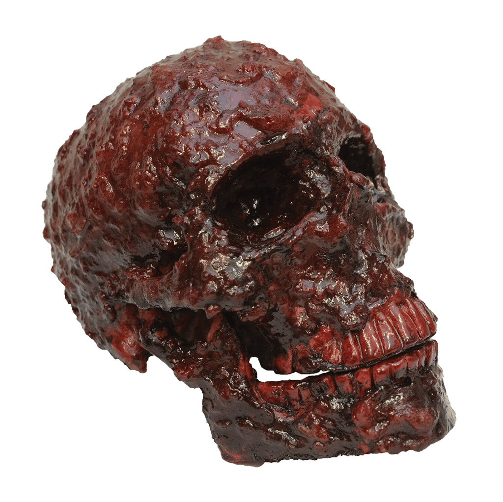 Blood Scab Resin Skull Prop