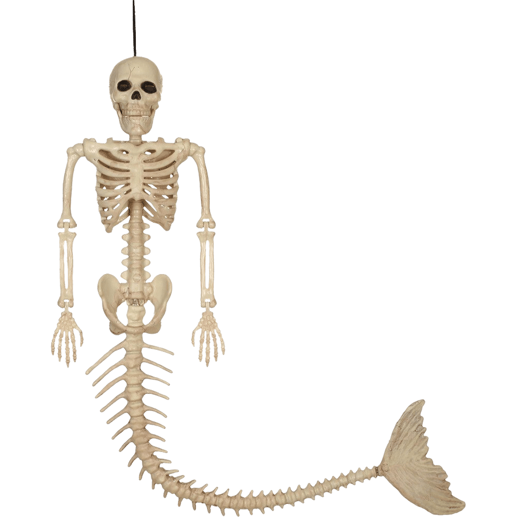 Mermaid Skeleton 21"