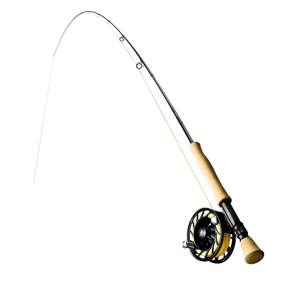 Fly Rod