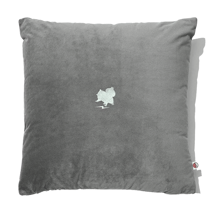 Fragment x Pokemon Bulbasaur Thunderbolt Project x Sequence Miyashita Park Cushion