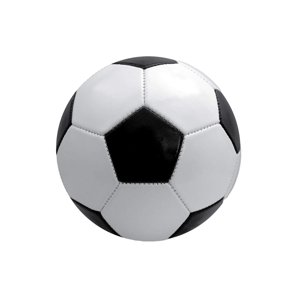 Soccer Ball Magnet