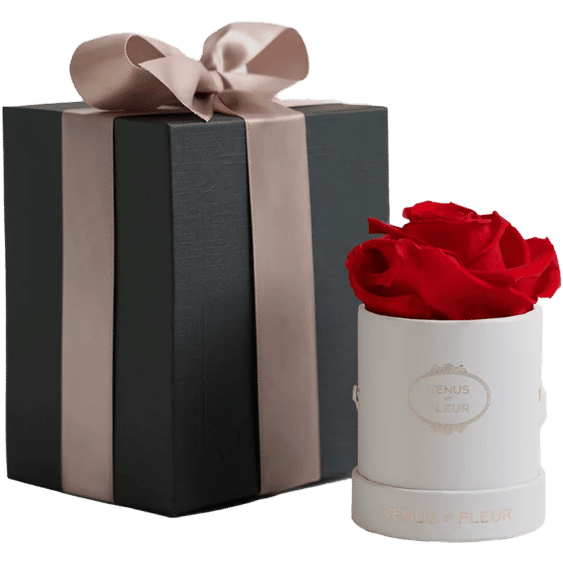 Venus et Fleur Le Mini Round (Black, Classic)