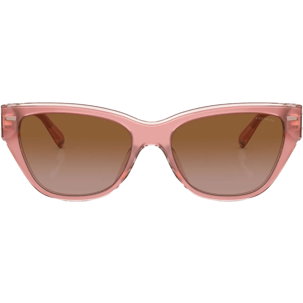 Coach cat eye sunglasses