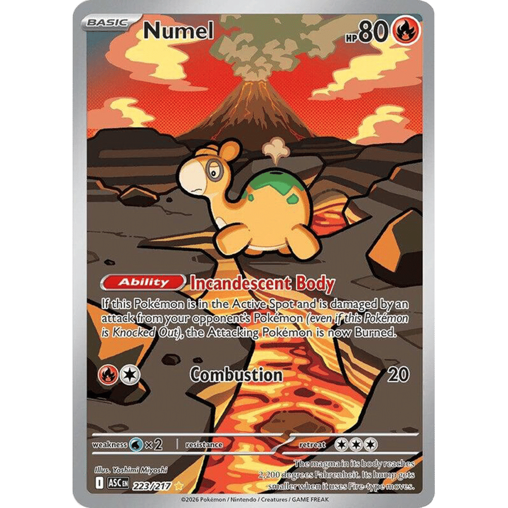 Numel - 223/217