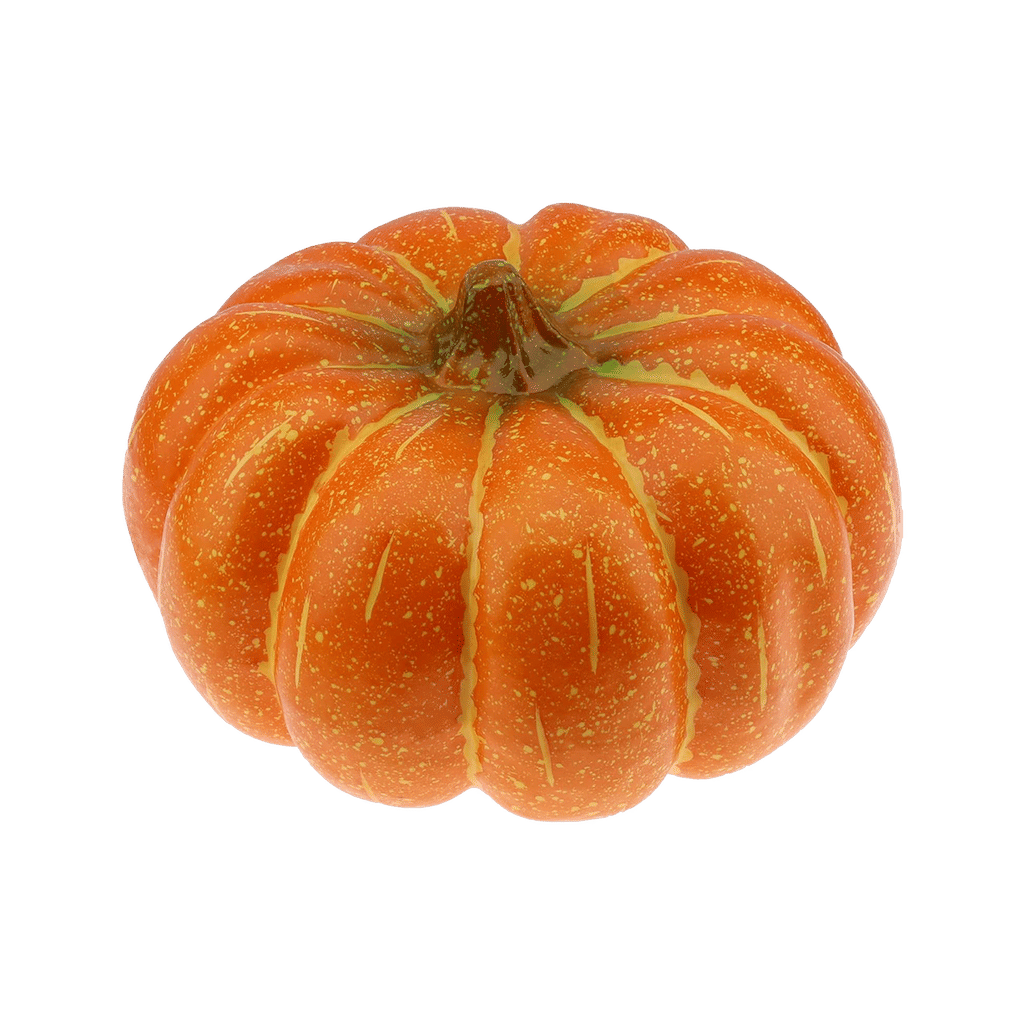 Large Pumpkin