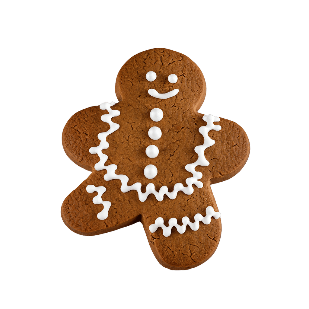 Gingerbread Biscuit